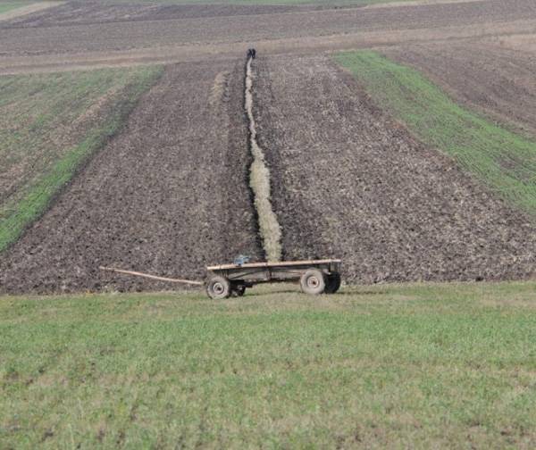 Ökogazdálkodás buktatókkal