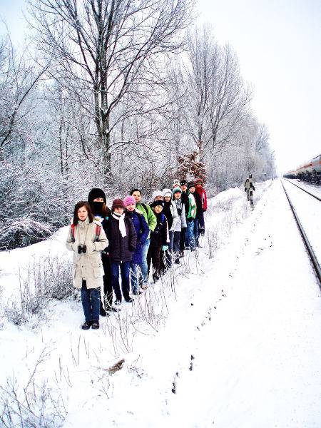 Téli vendégek nyomon követése