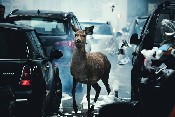 Kezdődik a Nagyon Rövid Filmek 14. Nemzetközi Fesztiválja