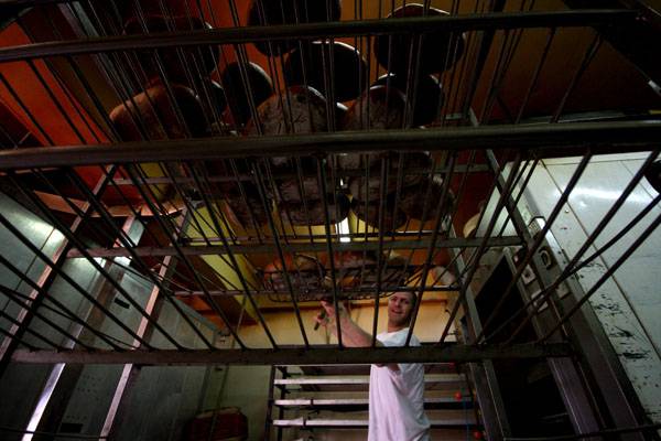 Csökkentenék a kenyér árát, a szakemberek szkeptikusak 