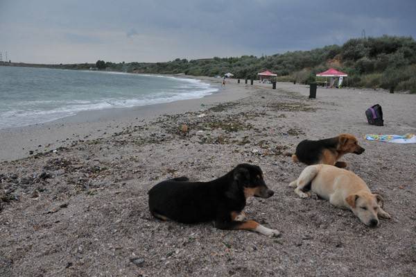 •  Fotó: Bone Ewald