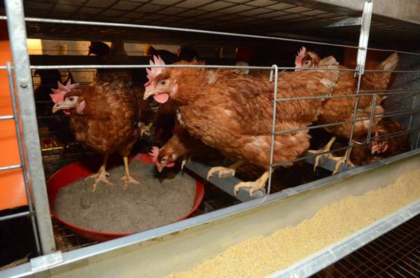 &bullet;  Fotó: MTI