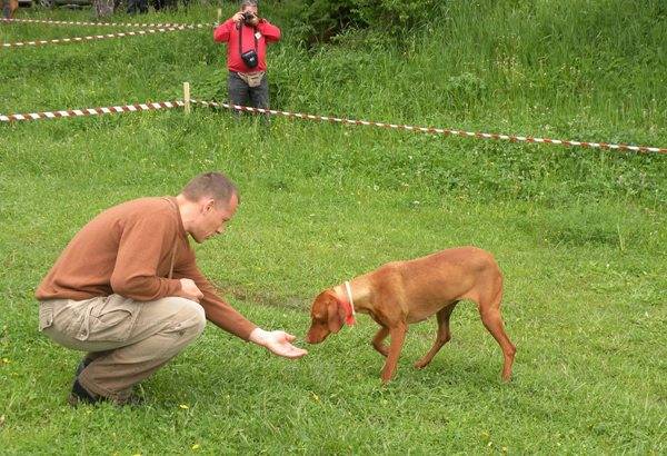 •  Fotó: Agerpres