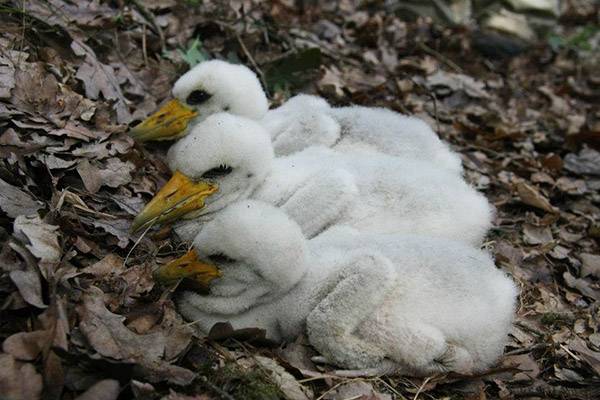 • Fotó: A szerző felvétele