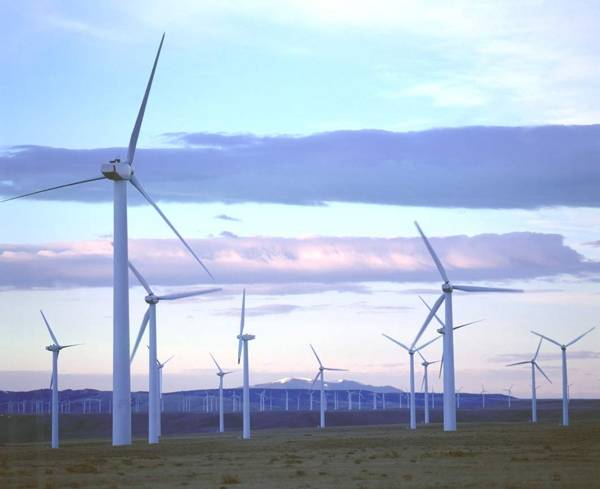  Egyre népszerűbb a zöld energia