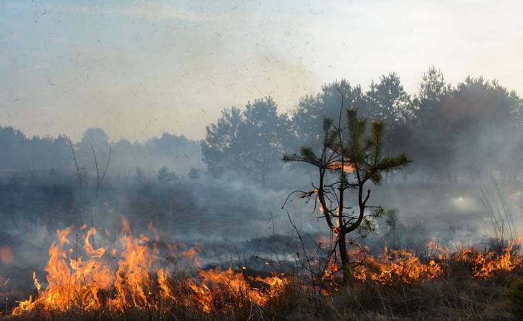 Lángok csaptak fel a Rétyi Nyír környékén