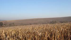 Szigorítják a földek adásvételét