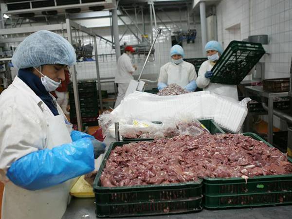 Őrizetben a húsmaffia több tagja