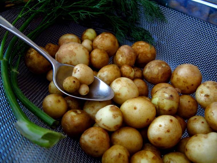 Újkrumpli, a tökéletes nyári köret