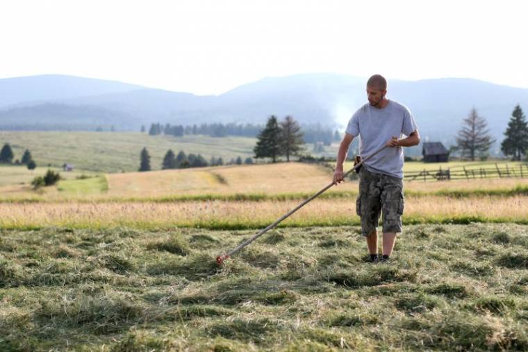 Bizonyos APIA-támogatások igénylésével a gazdák egy képzés elvégzését is vállalták – nagyon közel a határidő