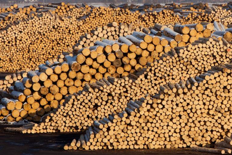 Közvitán a Holzindustrie Schweighofer környezeti vizsgálata