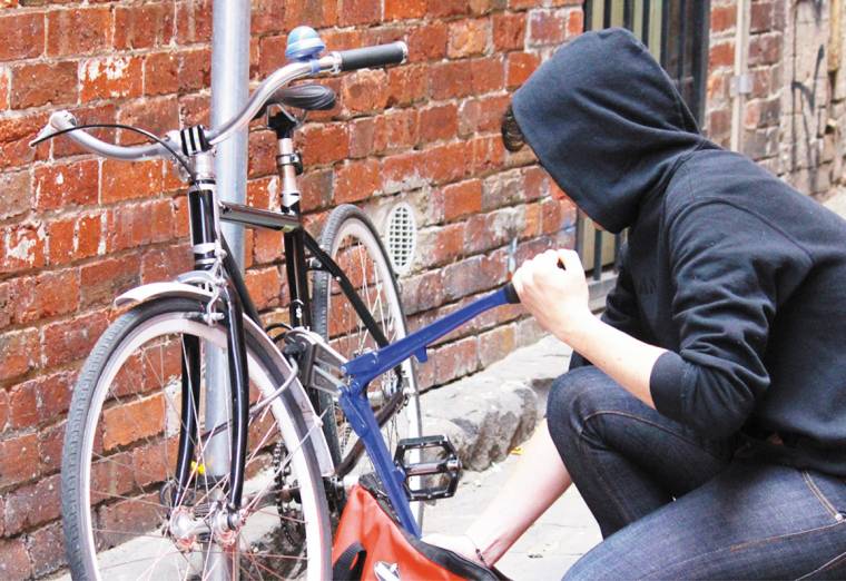 Nyomkövető a drótszamáron – Erdélyben a Tolvajkergetők