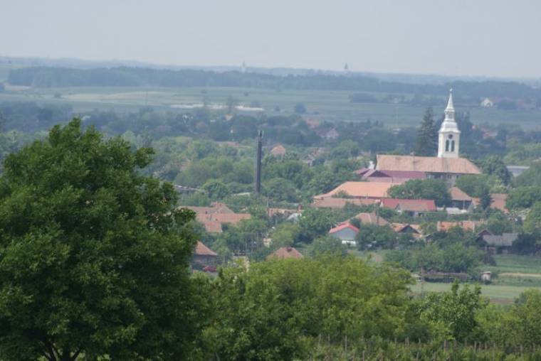Utcanévvita Diószegen