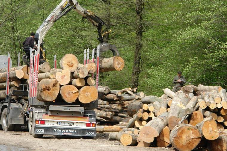 Okostelefonnal járnának túl a fatolvajok eszén