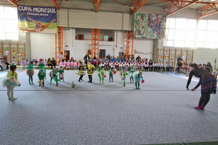 Első osztály nélkül maradhat a vásárhelyi Szász Albert Sportgimnázium