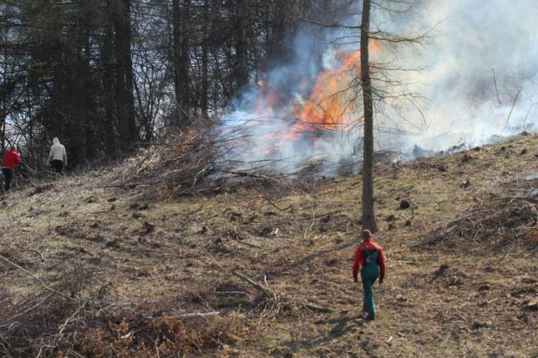 Gyújtogatás természetvédelmi területen