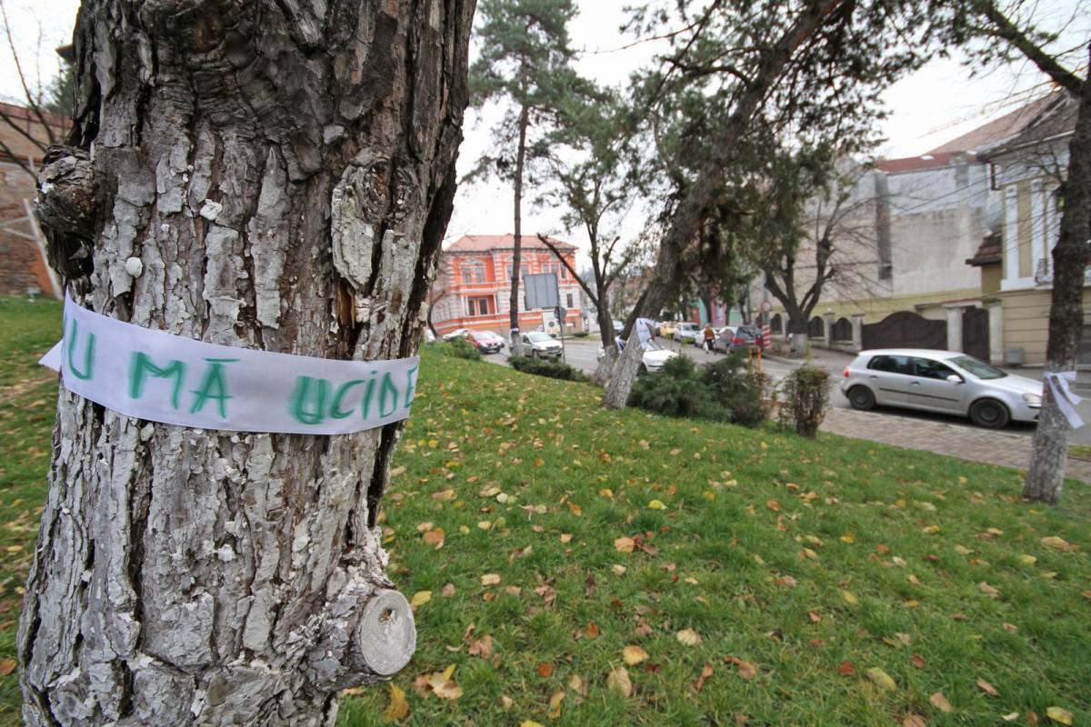 &bullet;  Fotó: Boda L. Gergely