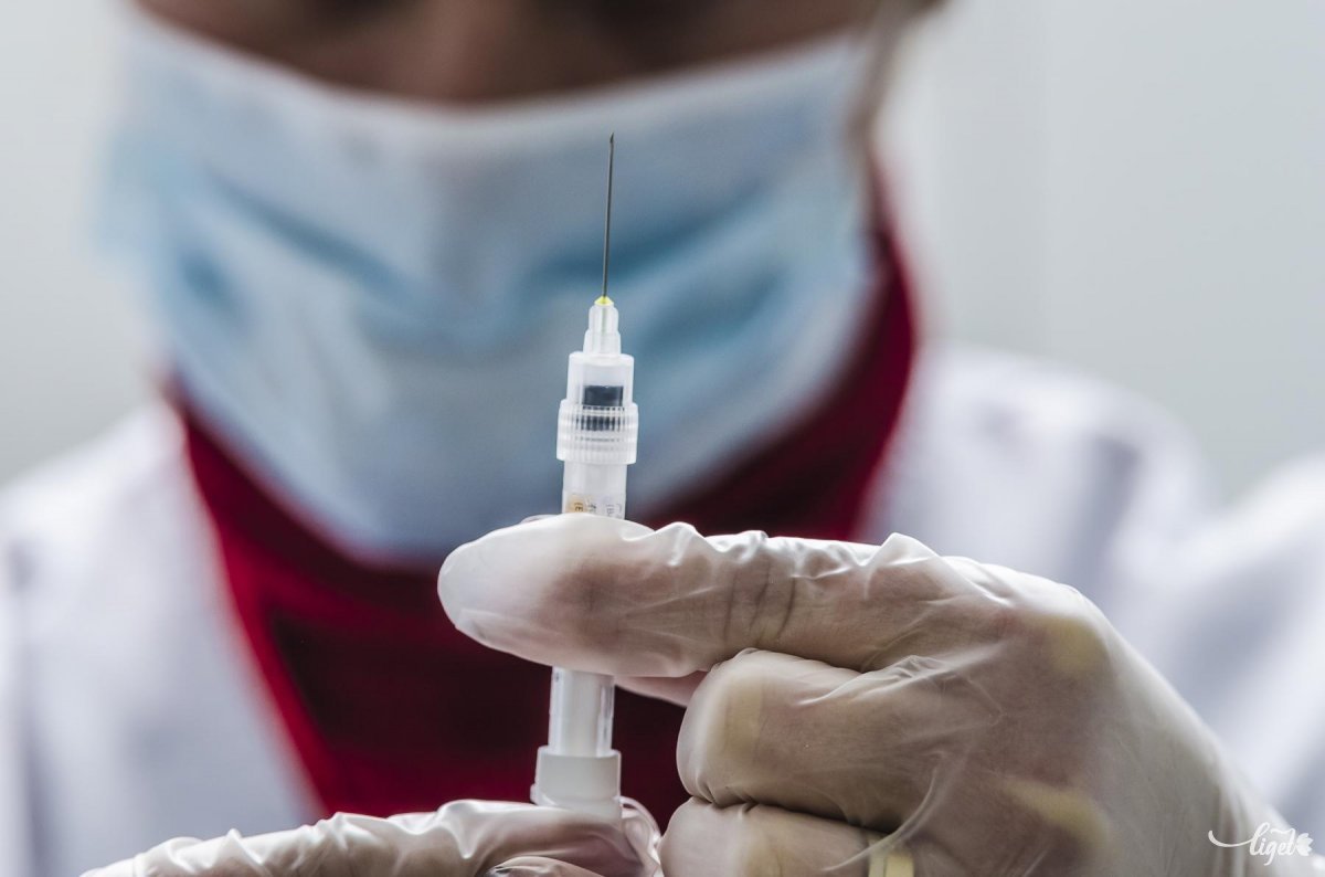 Elszúrt oltási kampány? Hiába rendeltek bő kétszer annyi influenza elleni vakcinát a hatóságok, ha alig harmada ért mostanáig célba •  Fotó: Veres Nándor