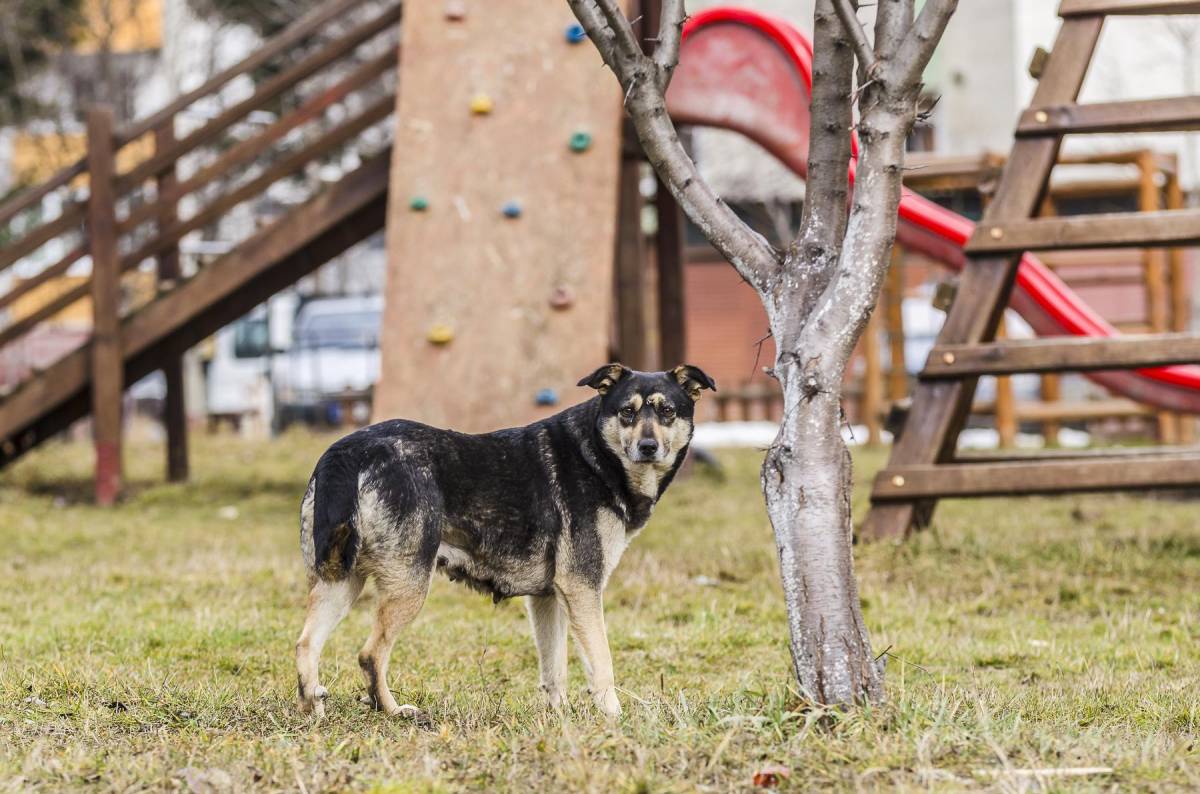 &bullet;  Fotó: Veres Nándor
