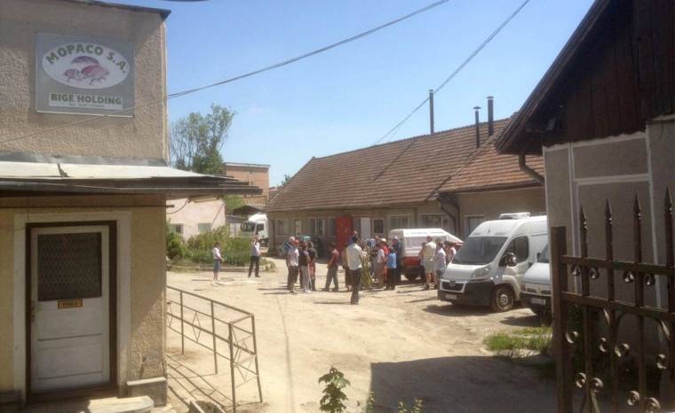 Tiltakozás a kenyérgyárban