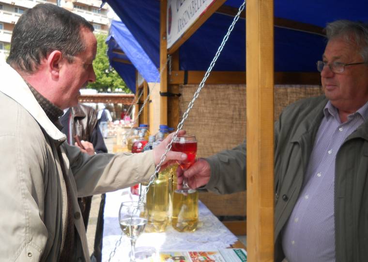 Bíznak a bor jövőjében