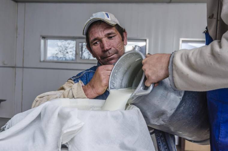 Az alacsony ár miatt aggódnak a tejtermelők