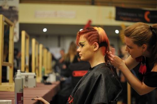 Céheket terveznek Szatmárban