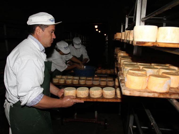 Megmentenék a noszolyi sajtot