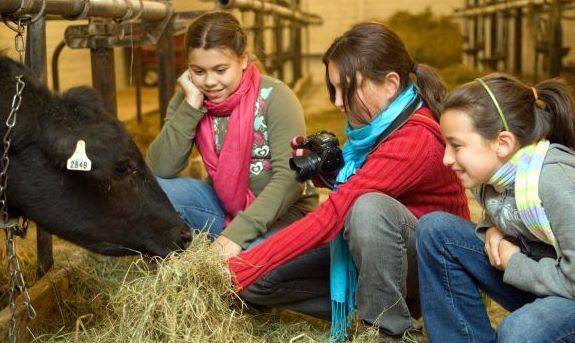 Ötmilliárd lejt költöttek a külföldi turisták