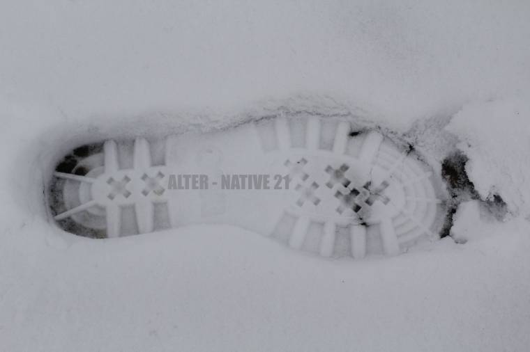 Alter-Native: csaknem ezer nevezés
