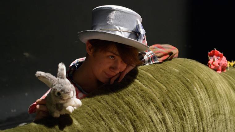 A vagabond, Alice és a bohóc Temesváron