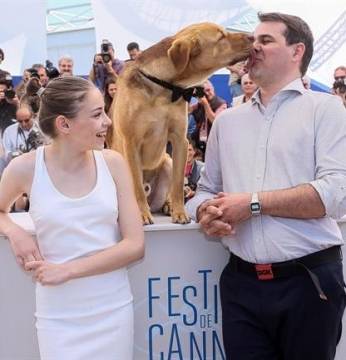 Cannes-i vastaps a magyar filmnek