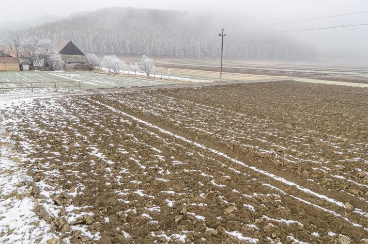Antal Árpád: a rossz törvény miatt halad lassan a visszaszolgáltatás
