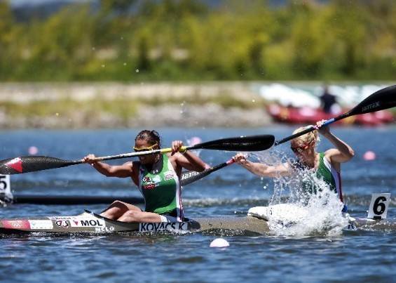Janics magyarként, Benedek szerbként villogott