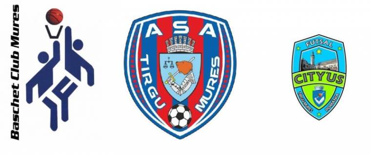 Vásárhelyi mezek, sportcímerek