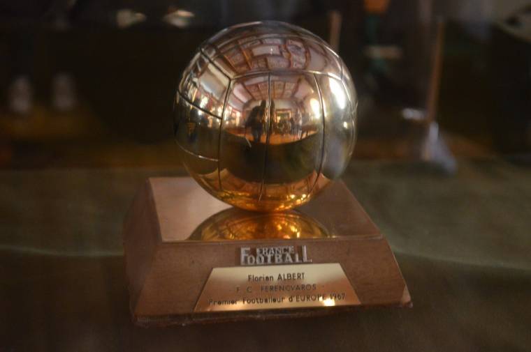 „Ő a mi hősünk” – Albert-emlékkiállítás Váradon