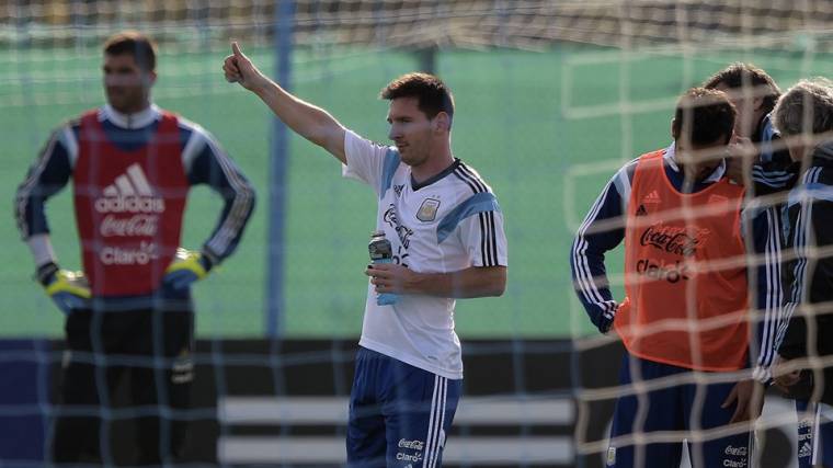 Sorminták, klasszisok és a zöldfülű – Az E és az F csoport bemutatása