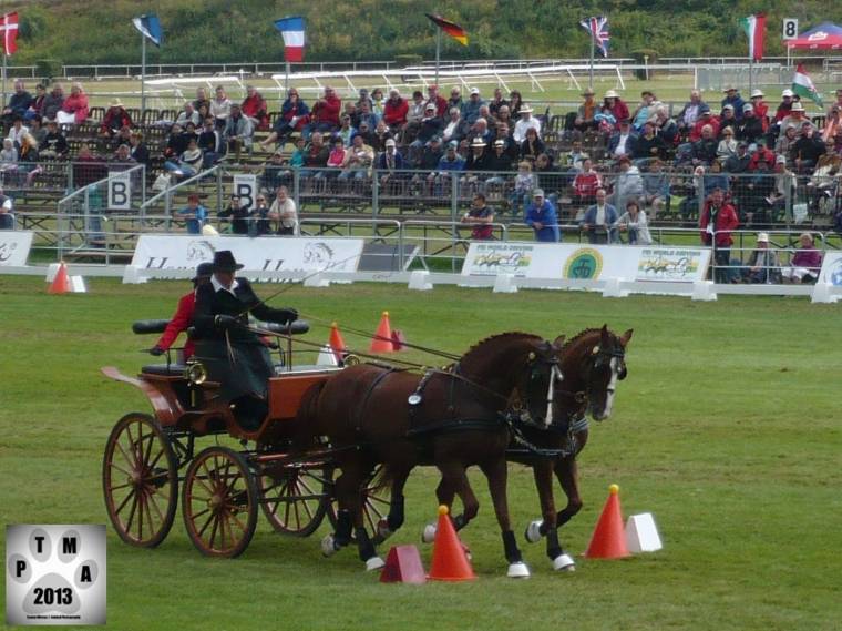 Gyergyói lovasnapok: polgármesterek is csatáztak