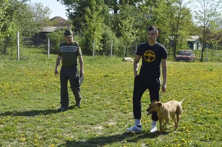 Fegyházak és kutyakiképző egyesületek közös programja