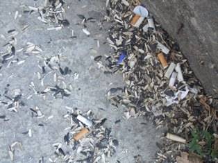 Betiltották a szotyizást Giurgiuban