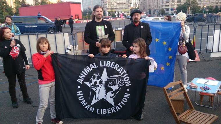 Parlamenti cirkusz a cirkuszról