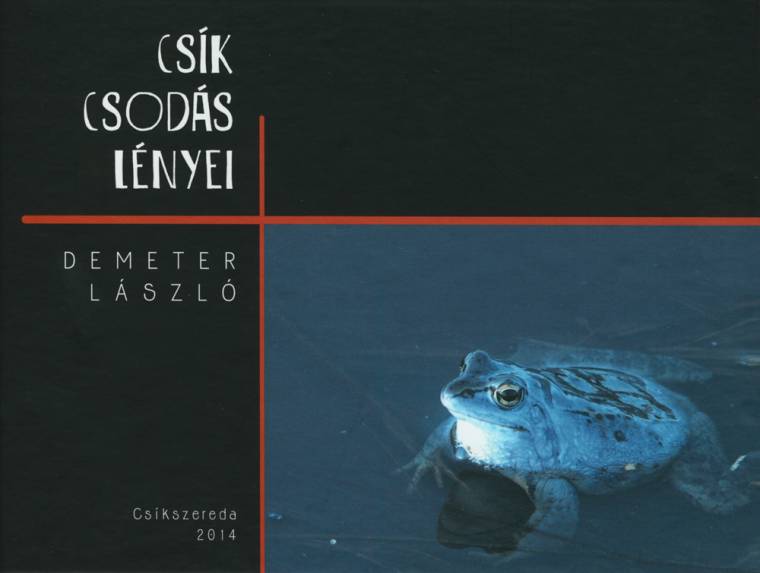 Könyv Csík csodálatos lényeiről