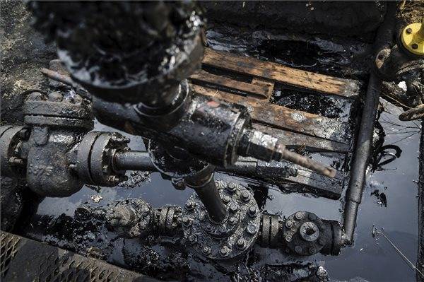 A környezetvédelemre hívták fel a figyelmet a Föld napján