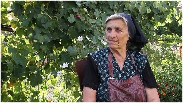 Mediawave Online: magyar–román dokfilmet díjaztak