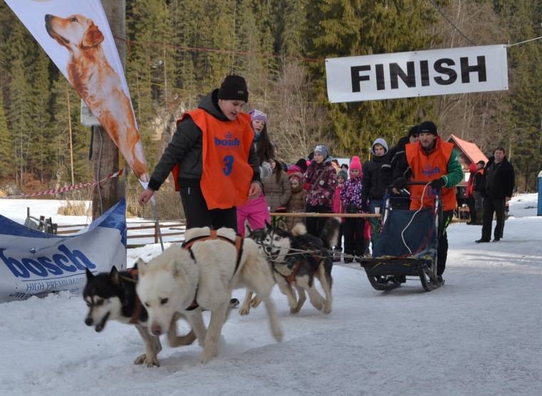Kutyaszánverseny a Gyilkos-tónál