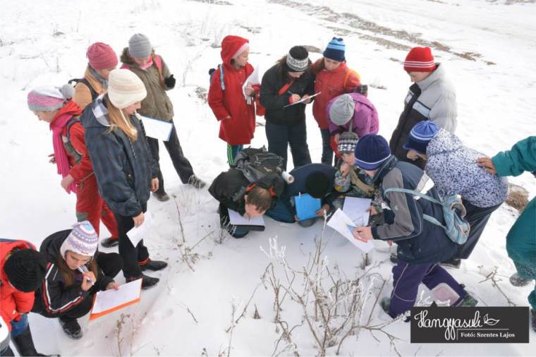Ingyen letölthető a Zöld Székelyföld Egyesület környezetvédelmi tananyaga
