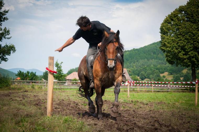 Népszerű lovas rendezvény
