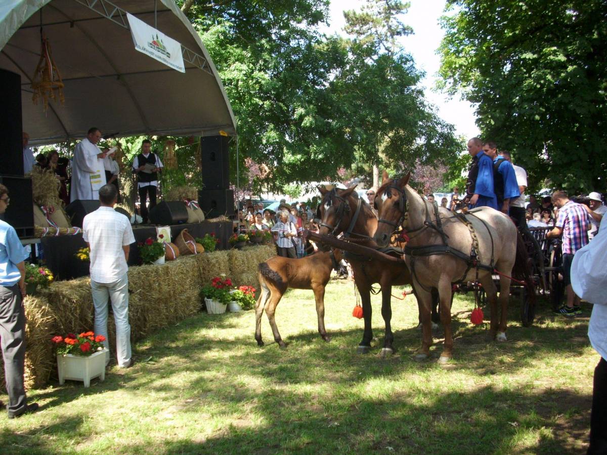 &bullet;  Fotó: Bakó Zoltán