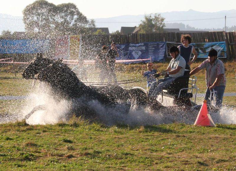 &bullet;  Fotó: arch