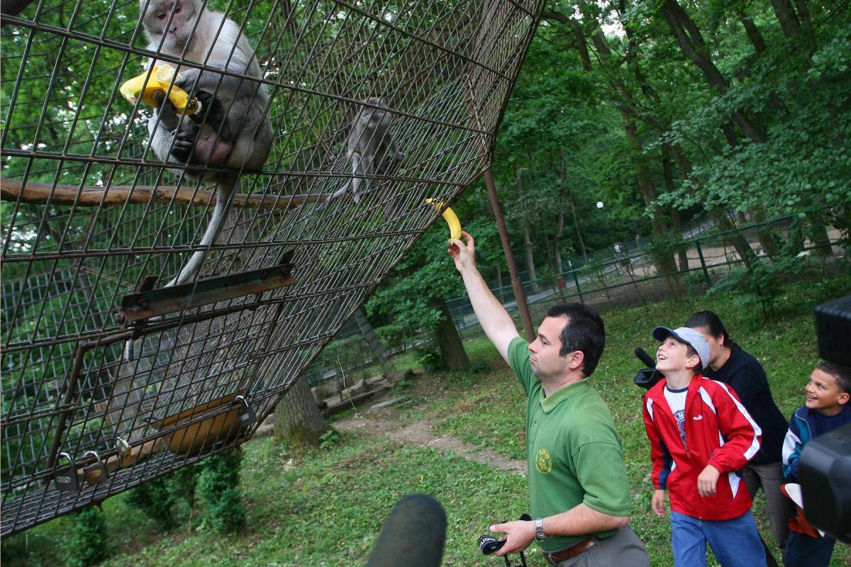 &bullet;  Fotó: Boda L. Gergely